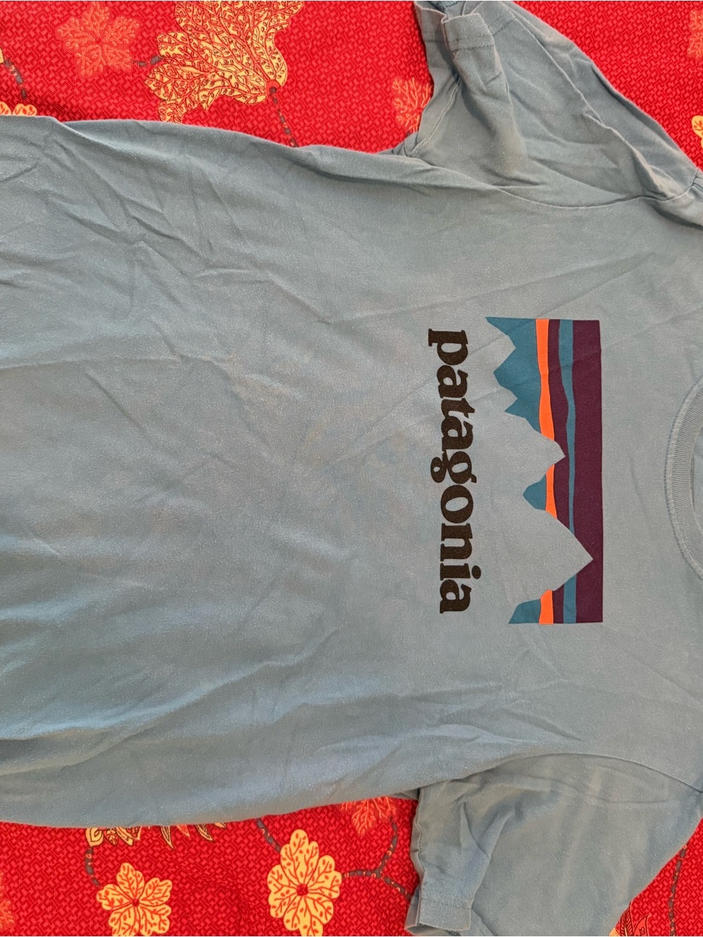 Patagonia Light Teal Crewneck T-Shirt